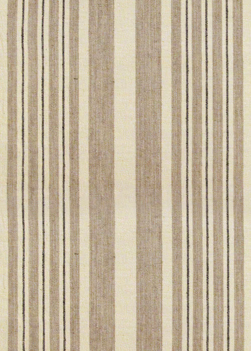 Arya Stripe