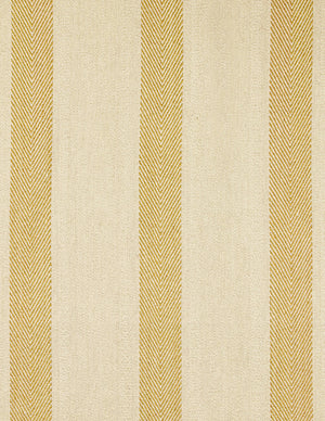 Chevron Stripe