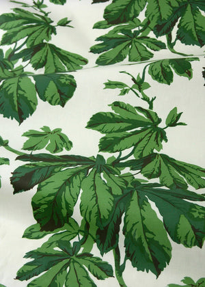 Chestnut Leaves