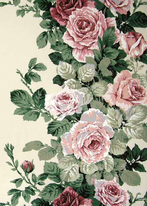 Cabbage Rose Wallpaper HD  PixelsTalkNet
