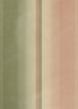 Rainbow Silk