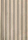 Jacqueline Stripe