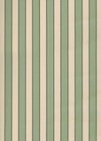 Jacqueline Stripe
