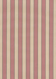 Jacqueline Stripe