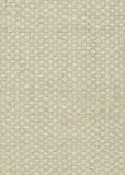 Woven Silk