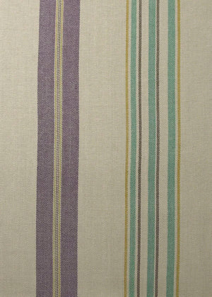 Tweel Stripe