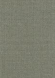 Shibui