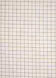 Windowpane Check