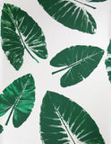 Banana Leaves Wallpaper