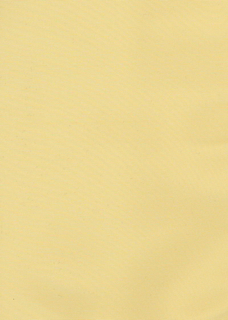 Silk Taffeta Plain