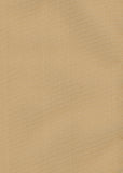 Silk Taffeta Plain
