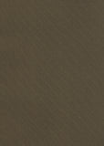 Silk Taffeta Plain