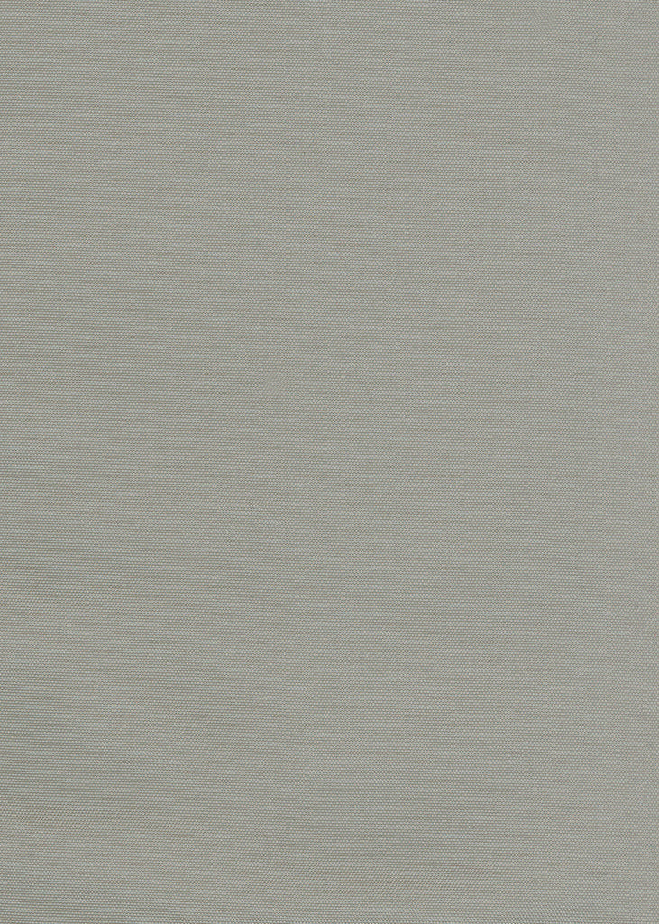 Silk Taffeta Plain