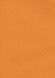 Silk Taffeta Plain