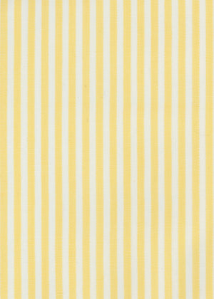 Swedish Stripe